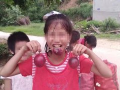 广西“百香果”女童遗体被火化，火化及遗体存放费用全免