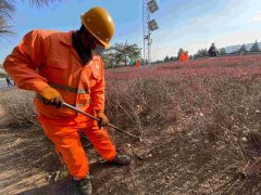 近期北京天干物燥，请勿在高速公路周边燃放烟花爆竹、焚纸祭扫