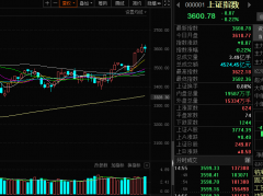 板块轮动上行，锂电产业链爆发